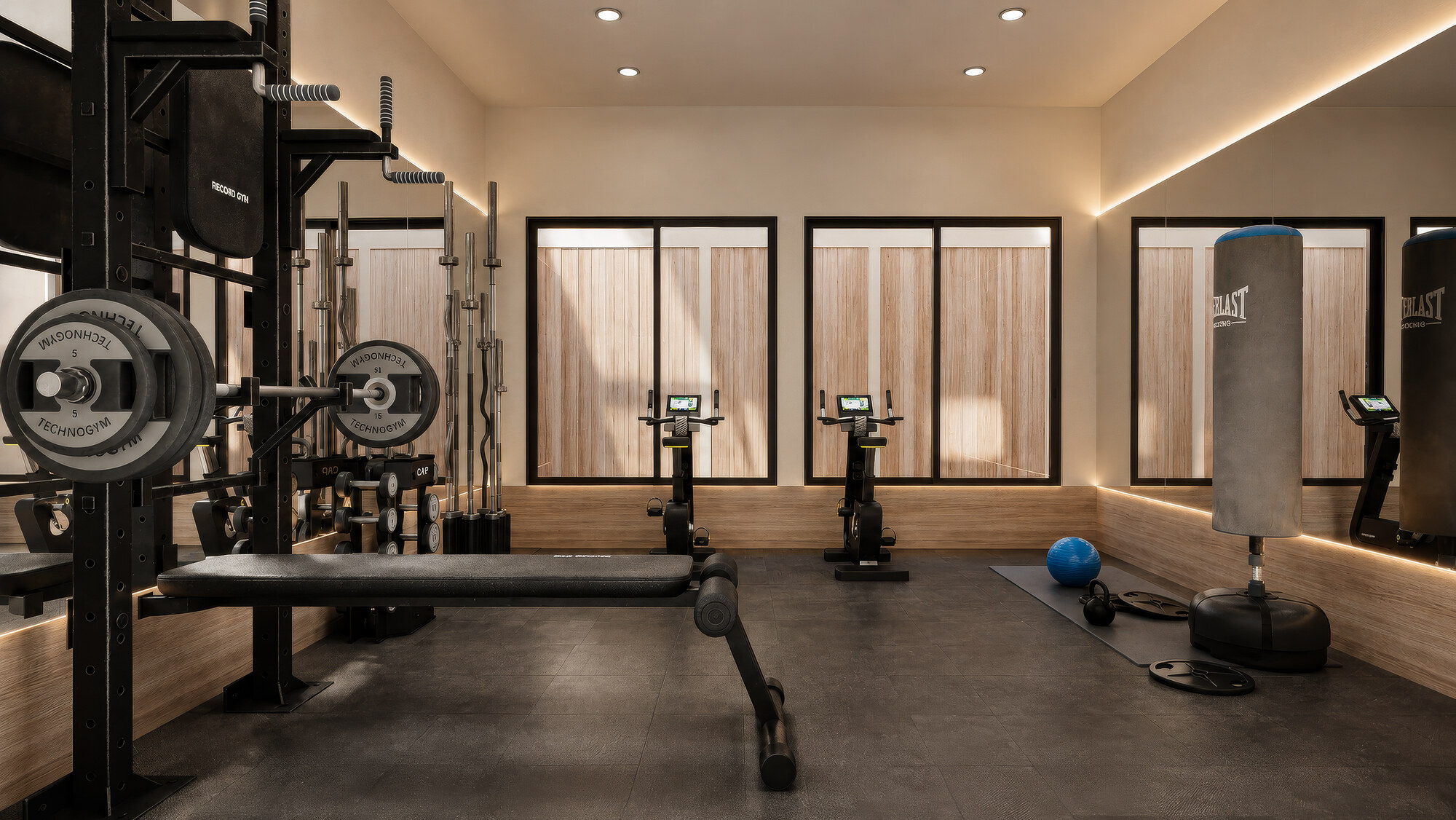 Gimnasio equipado
