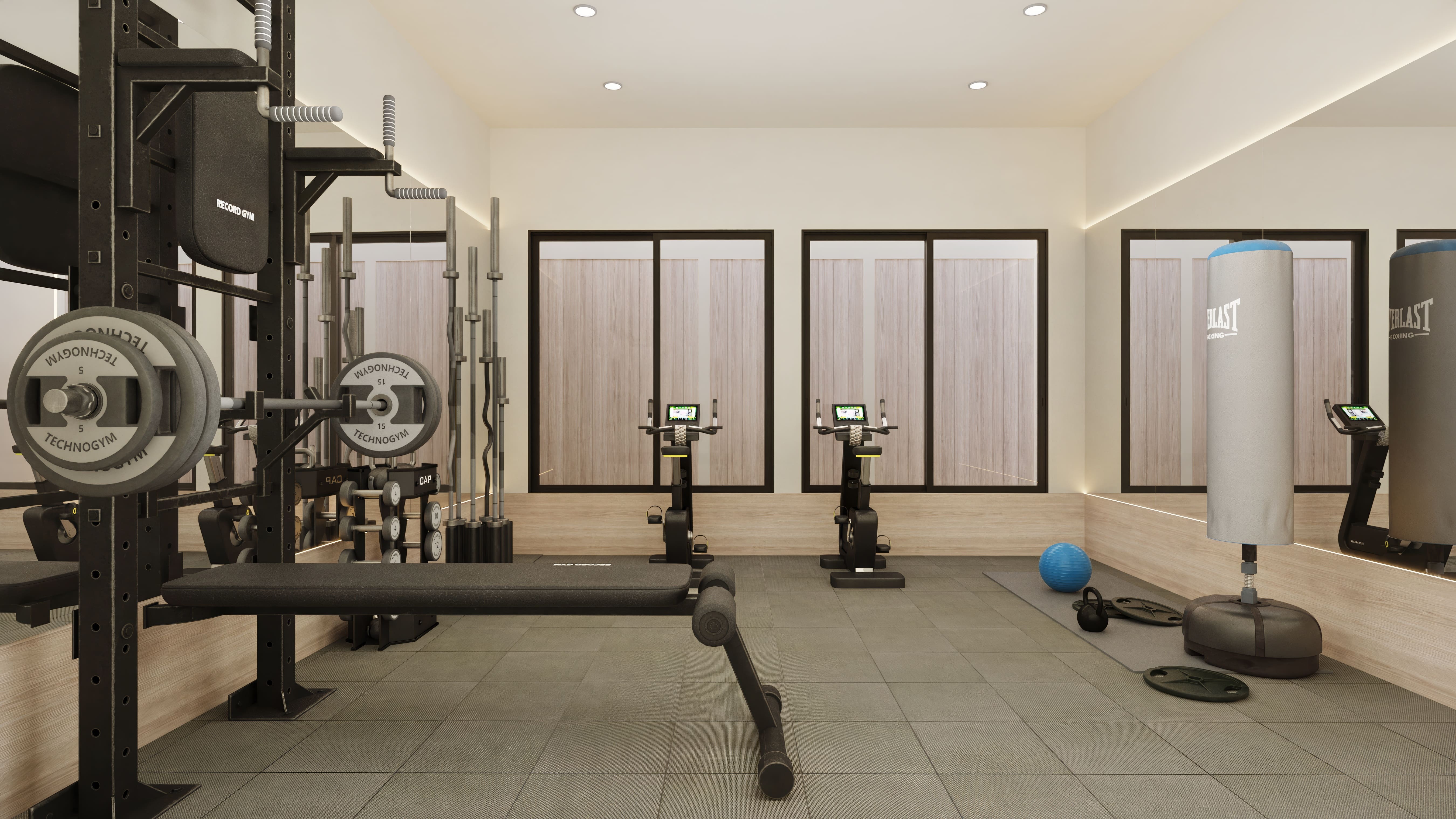 Gimnasio